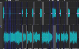 view of audio editing software showing a  busy podcast interview edit